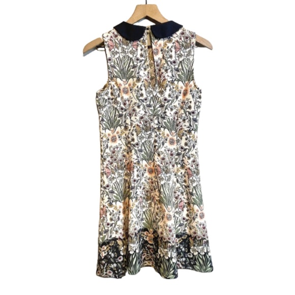 LC LAUREN CONRAD Dress Floral A-Line Crewneck Peter Pan Collar Sleeveless 10 - Picture 6 of 9